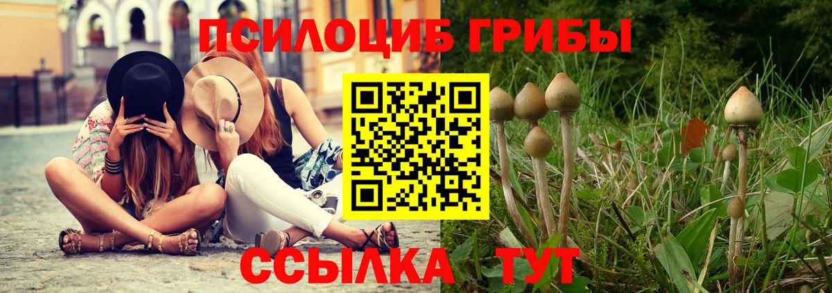 Галлюциногенные грибы Magic Shrooms  Вход с VPN  Псилоцибиновые грибы Psilocybe  Муравленко 