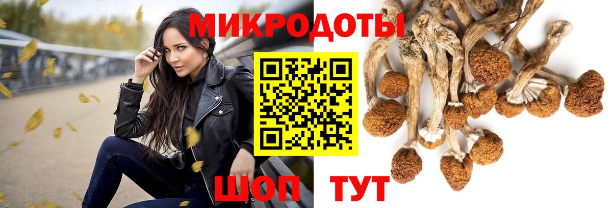 Псилоцибиновые грибы GOLDEN TEACHER Муравленко